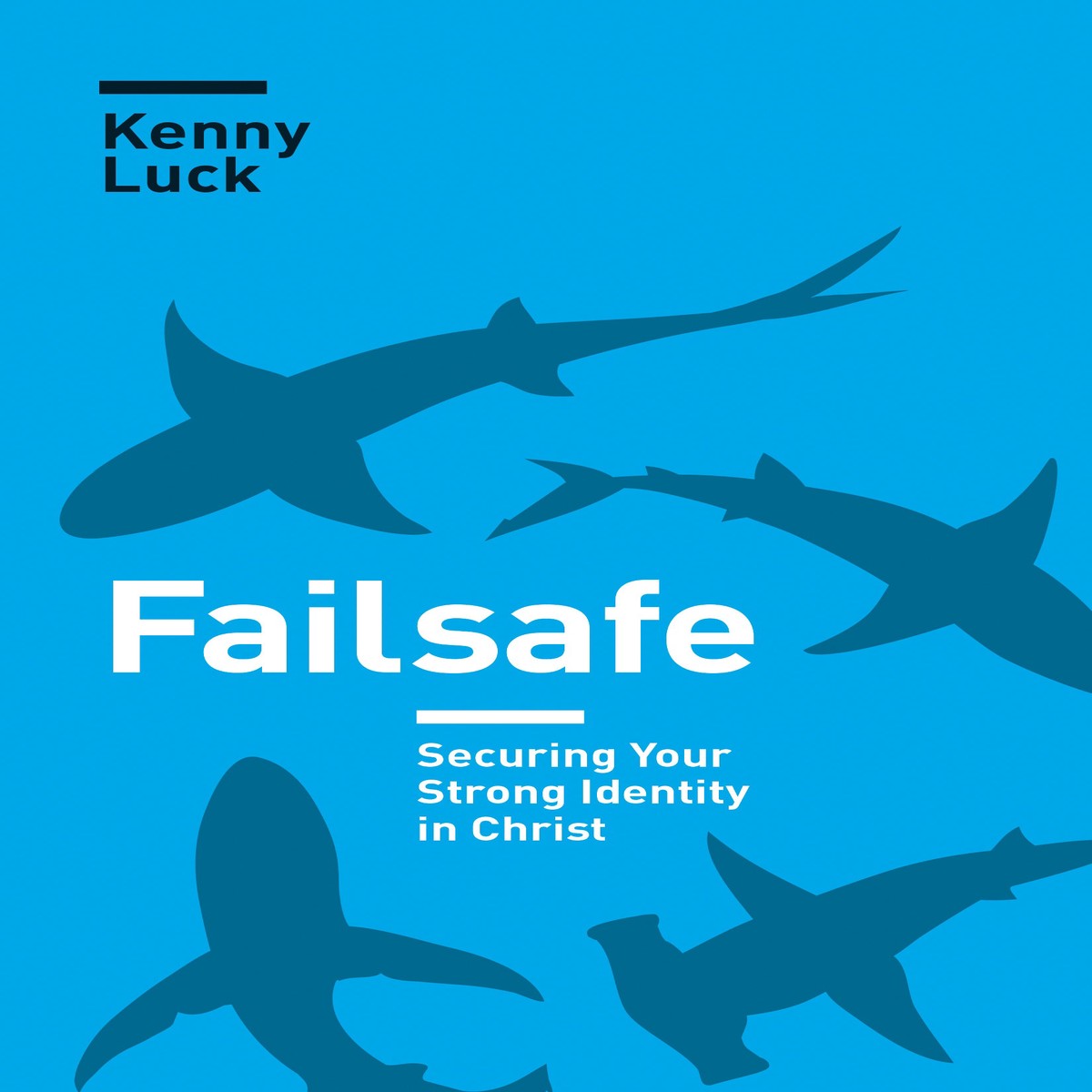 Failsafe: Living Secure in God's Acceptance