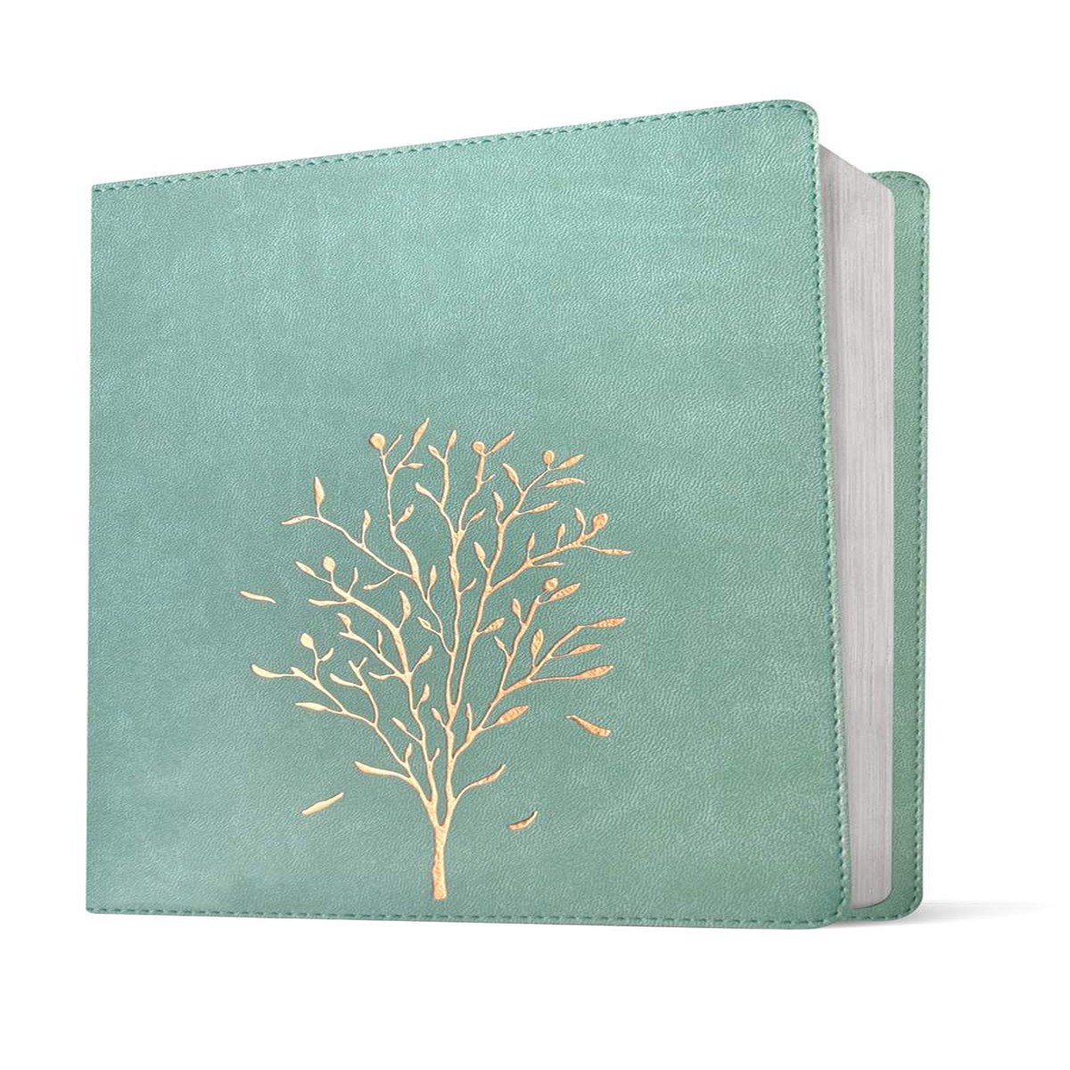 Message Wide Margin Bible Sage Tree