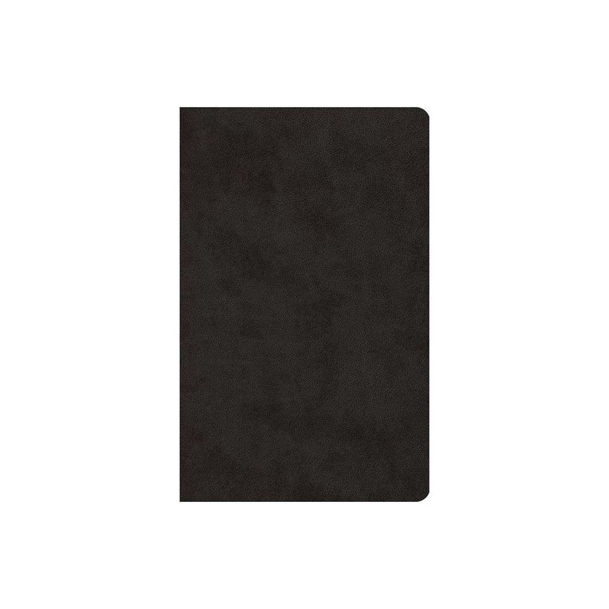ESV Large Print Value Thinline Bible Black
