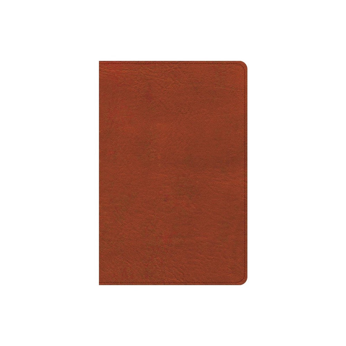 CSB Study Bible Personal Size Burnt Sienna