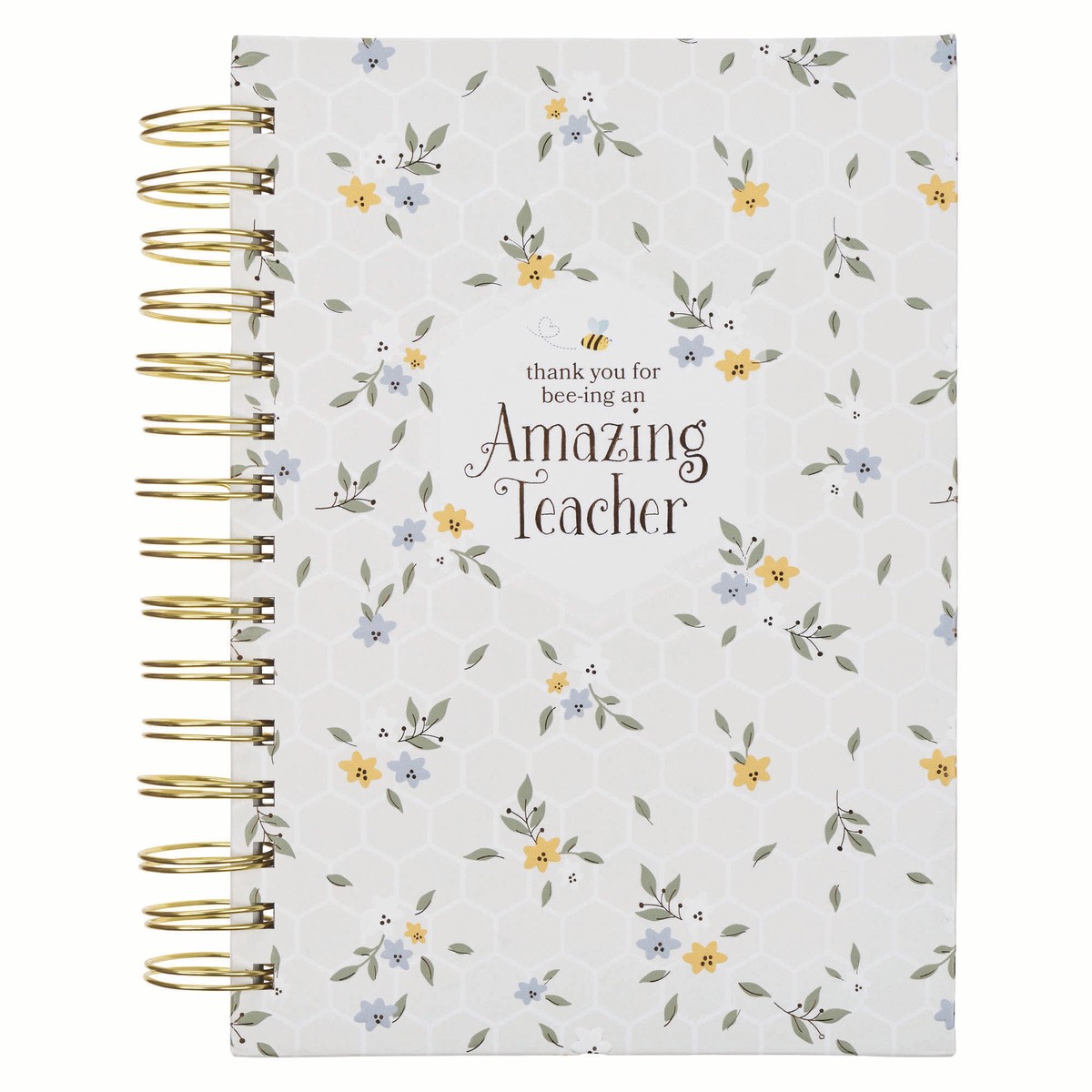 Journal: Amazing Teacher