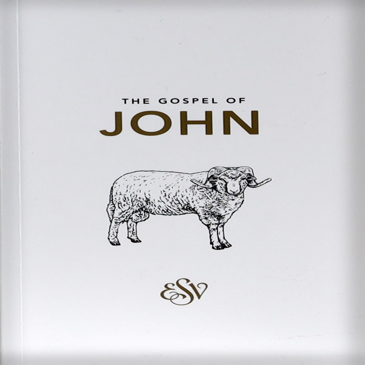 ESV John's Gospel