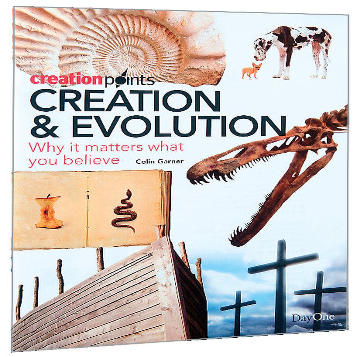 Creation & Evolution (Creation Points Series)