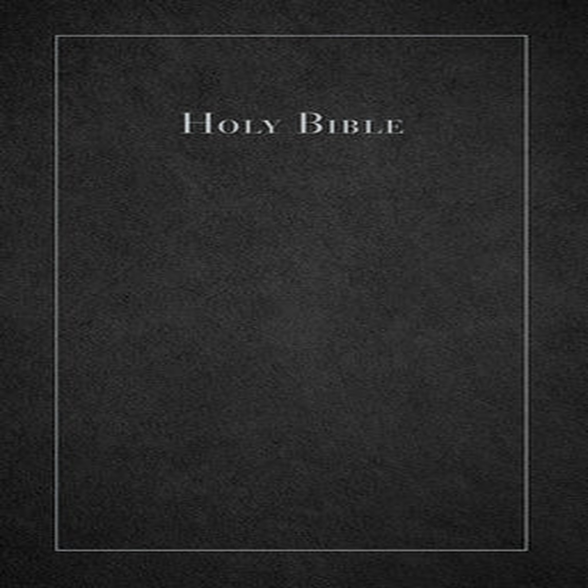 Ceb Large Print Thinline Bible