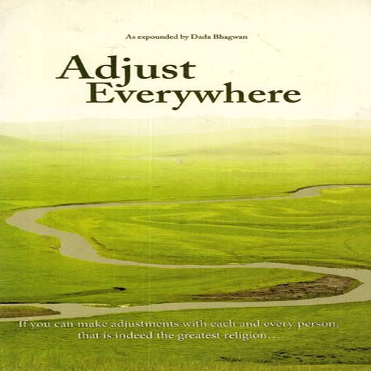 Adjust Everywhere