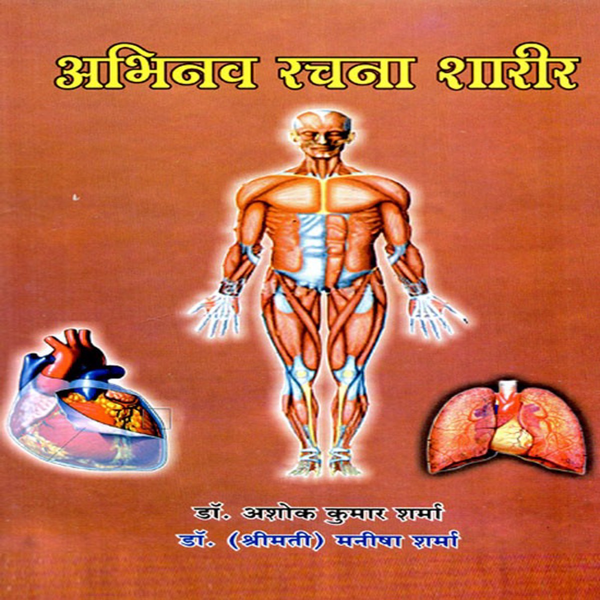 - Innovative Creation Body