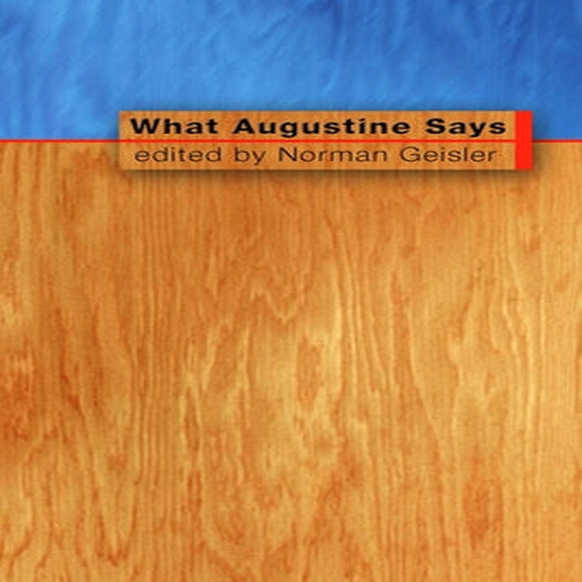 What Augustine Says
